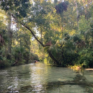 Meet your Posher, Katelynn